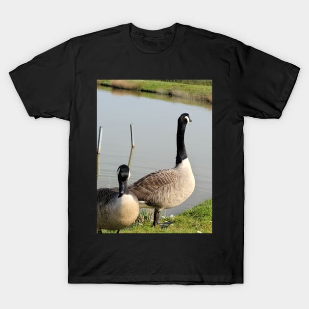 beautiful nature, wild geese, gift T-Shirt by AnnaMartaFoley